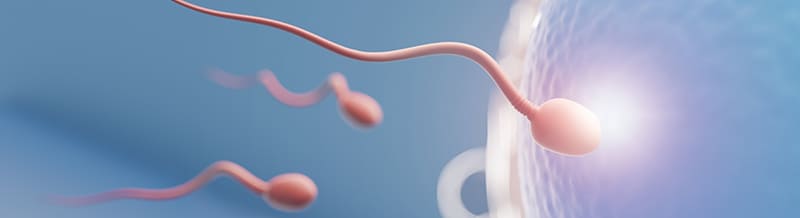 close-up-sperm-swimming-towards-blue-egg-blue-background-3d-illustration-rendering